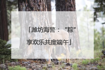 潍坊海警：“粽”享欢乐共度端午
