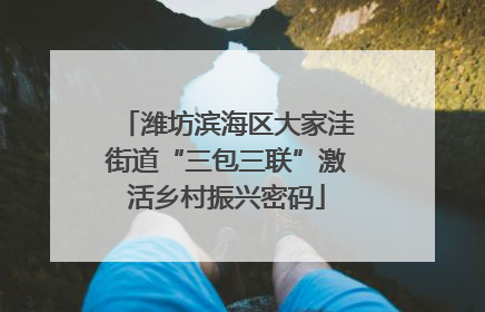 潍坊滨海区大家洼街道“三包三联”激活乡村振兴密码