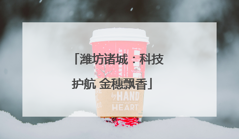 潍坊诸城：科技护航 金穗飘香