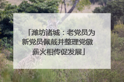 潍坊诸城：老党员为新党员佩戴并整理党徽 薪火相传促发展