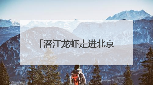 潜江龙虾走进北京，100000只虾席卷大厂餐桌