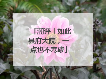 潮评丨如此县府大院，一点也不寒碜