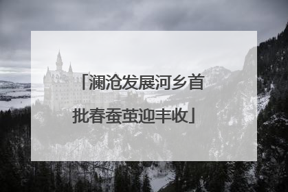 澜沧发展河乡首批春蚕茧迎丰收