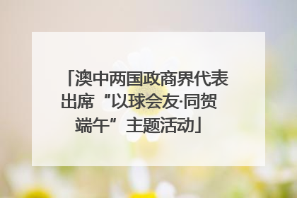 澳中两国政商界代表出席“以球会友·同贺端午”主题活动