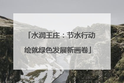 水润王庄：节水行动绘就绿色发展新画卷