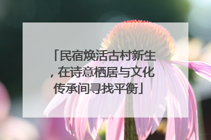 民宿焕活古村新生，在诗意栖居与文化传承间寻找平衡
