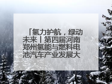 氢力护航，绿动未来丨第四届河南郑州氢能与燃料电池汽车产业发展大会启幕