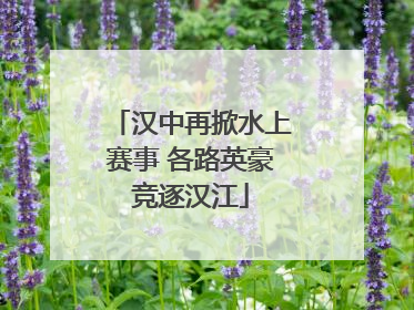 汉中再掀水上赛事 各路英豪竞逐汉江