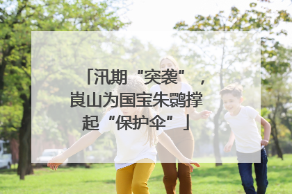 汛期“突袭”，崀山为国宝朱鹮撑起“保护伞”