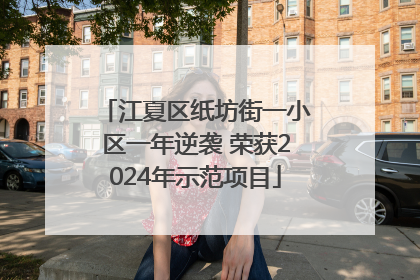 江夏区纸坊街一小区一年逆袭 荣获2024年示范项目