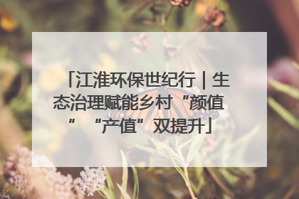 江淮环保世纪行｜生态治理赋能乡村“颜值”“产值”双提升
