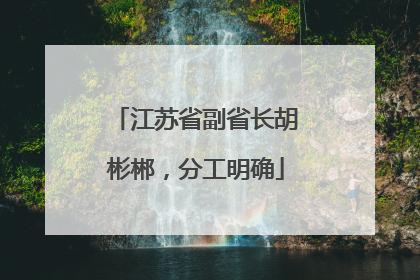 江苏省副省长胡彬郴，分工明确