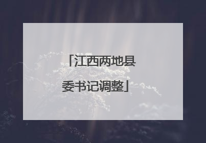 江西两地县委书记调整
