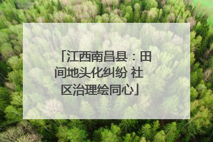 江西南昌县：田间地头化纠纷 社区治理绘同心
