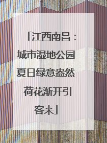 江西南昌：城市湿地公园夏日绿意盎然 荷花渐开引客来