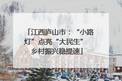 江西庐山市：“小路灯”点亮“大民生” 乡村振兴稳提速