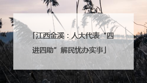 江西金溪：人大代表“四进四助”解民忧办实事