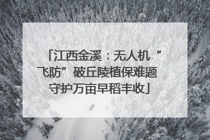江西金溪：无人机“飞防”破丘陵植保难题 守护万亩早稻丰收
