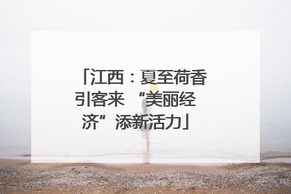 江西：夏至荷香引客来 “美丽经济”添新活力