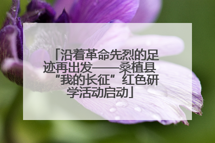 沿着革命先烈的足迹再出发——桑植县“我的长征”红色研学活动启动