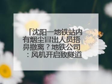 沈阳一地铁站内有烟尘冒出人员捂鼻撤离？地铁公司：风机开启致隧道灰尘飘散至站内