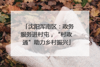 沈阳浑南区：政务服务进村屯，“村政通”助力乡村振兴