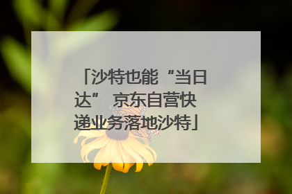 沙特也能“当日达” 京东自营快递业务落地沙特