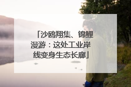 沙鸥翔集、锦鲤漫游：这处工业岸线变身生态长廊