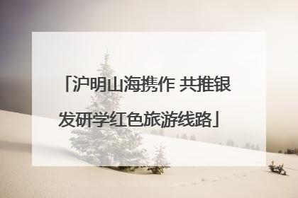 沪明山海携作 共推银发研学红色旅游线路