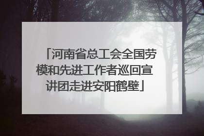 河南省总工会全国劳模和先进工作者巡回宣讲团走进安阳鹤壁