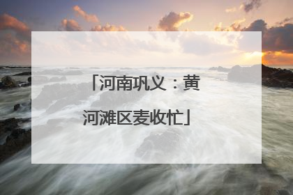 河南巩义：黄河滩区麦收忙