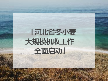 河北省冬小麦大规模机收工作全面启动
