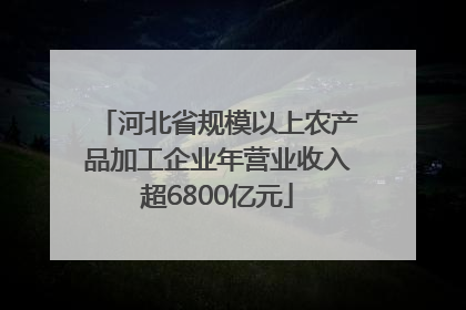河北省规模以上农产品加工企业年营业收入超6800亿元