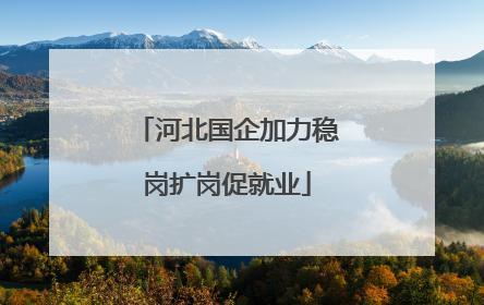 河北国企加力稳岗扩岗促就业