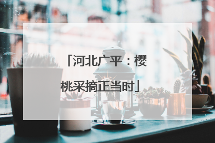 河北广平：樱桃采摘正当时