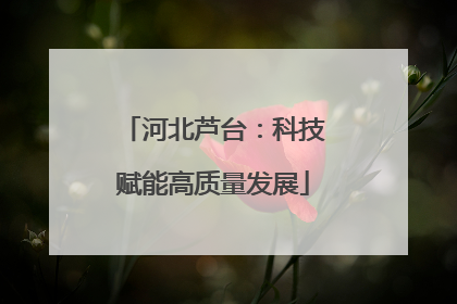 河北芦台：科技赋能高质量发展