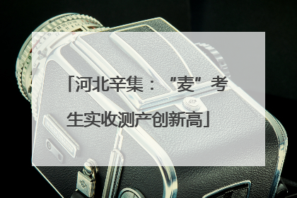 河北辛集：“麦”考生实收测产创新高
