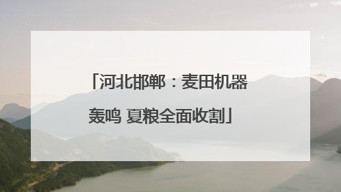 河北邯郸：麦田机器轰鸣 夏粮全面收割