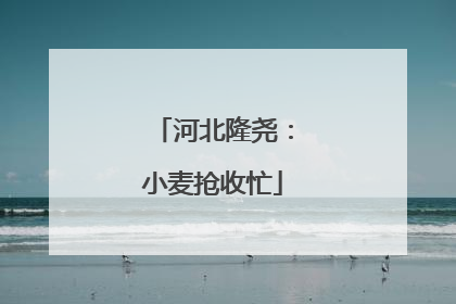 河北隆尧：小麦抢收忙