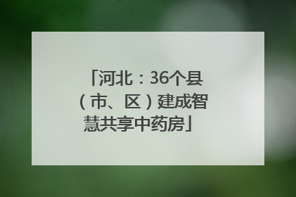 河北：36个县（市、区）建成智慧共享中药房