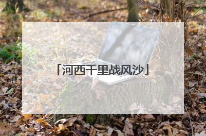河西千里战风沙