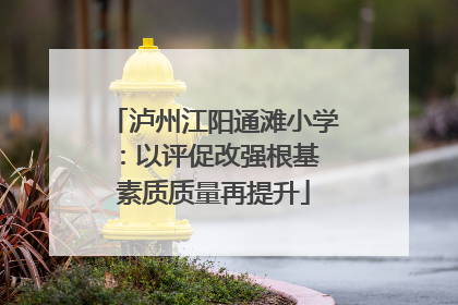 泸州江阳通滩小学：以评促改强根基 素质质量再提升