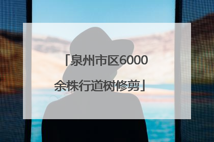 泉州市区6000余株行道树修剪