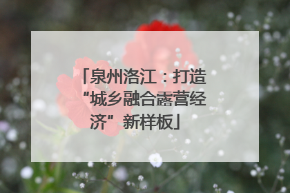 泉州洛江：打造“城乡融合露营经济”新样板
