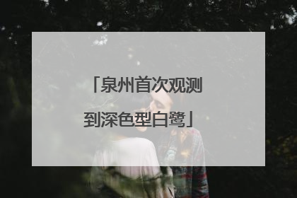 泉州首次观测到深色型白鹭