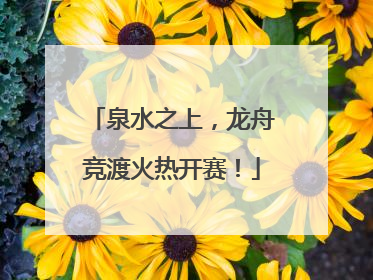 泉水之上，龙舟竞渡火热开赛！