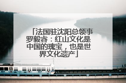 法国驻沈阳总领事罗毅睿：红山文化是中国的瑰宝，也是世界文化遗产