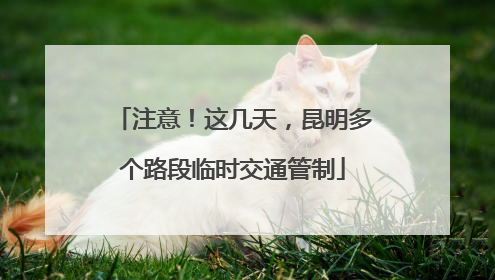 注意！这几天，昆明多个路段临时交通管制