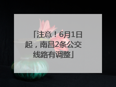 注意！6月1日起，南昌2条公交线路有调整