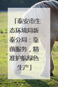 泰安市生态环境局新泰分局：靠前服务，精准护航绿色生产